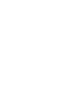 MVIT Logo